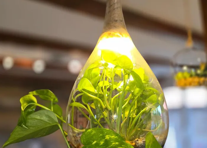 Le Nid Alsacien Appartement *