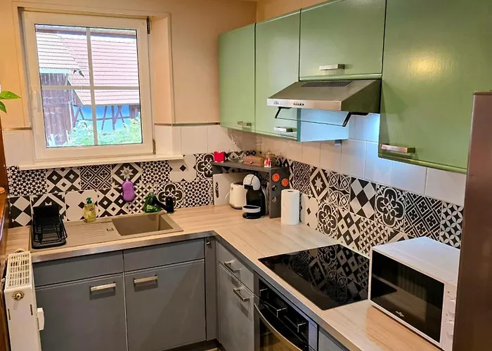 Le Nid Alsacien Appartement