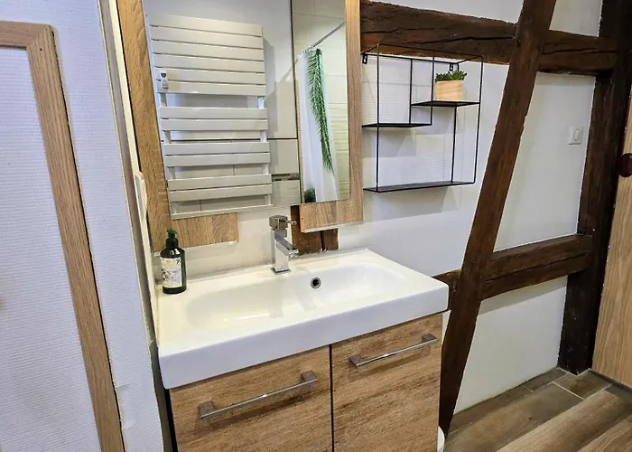 Appartement Le Nid Alsacien Hindisheim